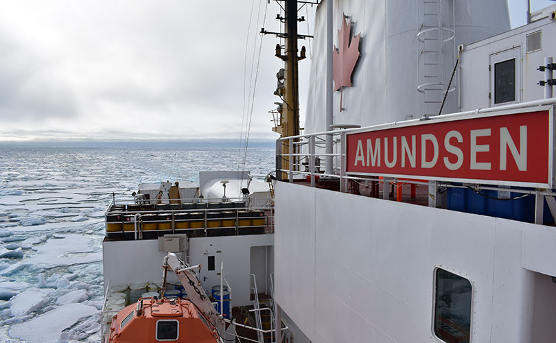 L'Amundsen se frayant un chemin dans la banquise arctique. (Photo : Jean-Carlos Montero-Serrano)